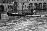 Acqua Alta