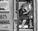 Bus Driver